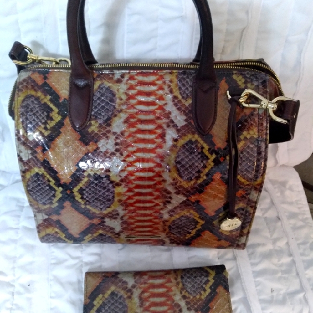 Brahmin Purse and Wallet